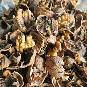 Can Kardeşler Kuruyemiş İzmir Artık Favorim Değil