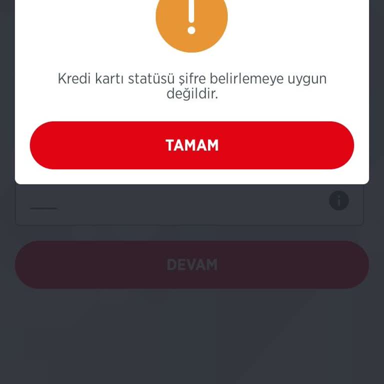 Ziraat Bankası Kredi Kartı Statüsü