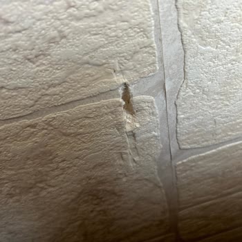 Doğtaş Koltuk Takımı Teslimatında Eksik Parça Ve Duvar Hasarı