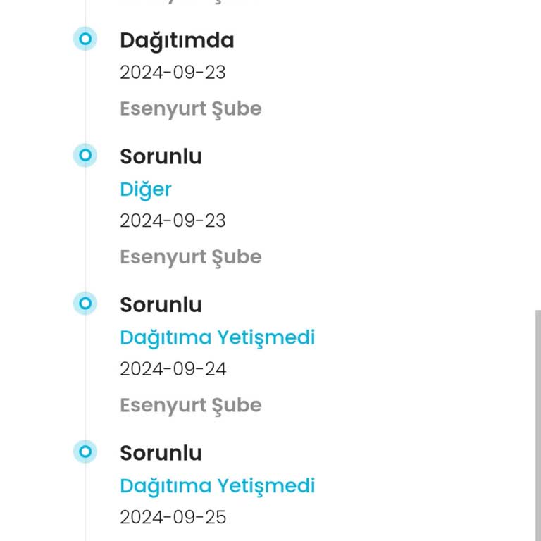Kargoist Sorunlu Sebebiyle Teslimata Çıkarılmaması