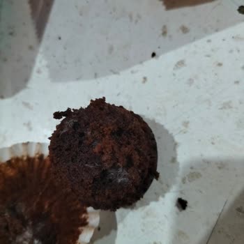 Eti Gıda Eti Pronot Glutensiz Kek Küf Mantarı