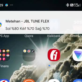 JBL Tune Flex Kulaklık