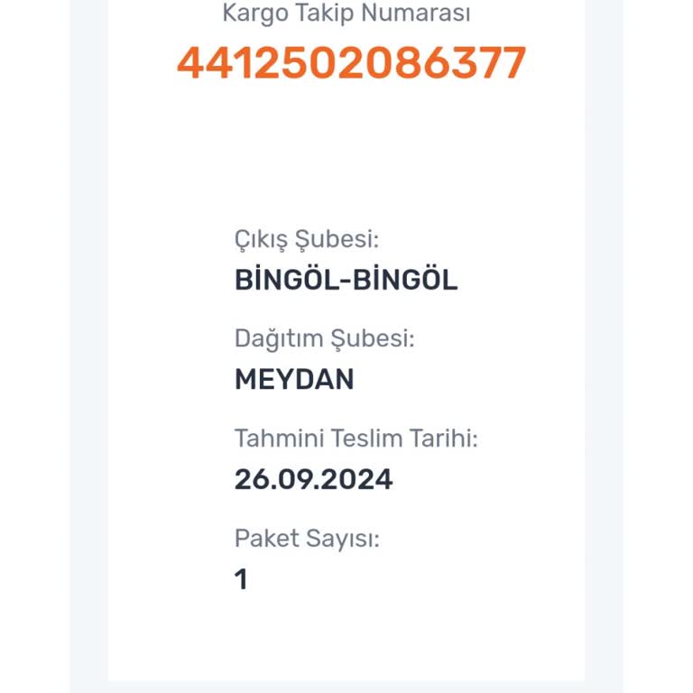 Aras Kargo Kargomu Teslim Etmiyor