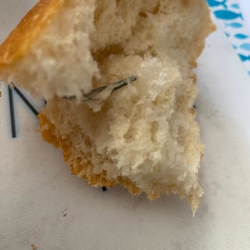 BİM Ekmeğinden Madde Çıktı