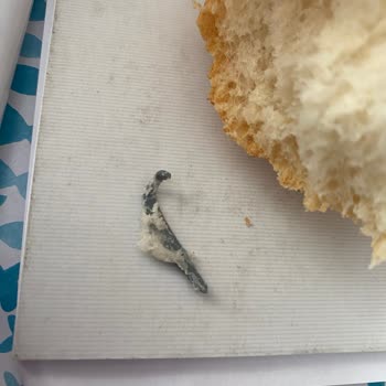 BİM Ekmeğinden Madde Çıktı