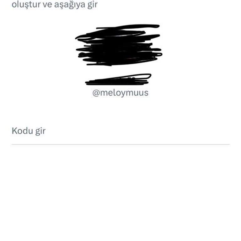 Twitter Hesabıma Giriş Yapamıyorum