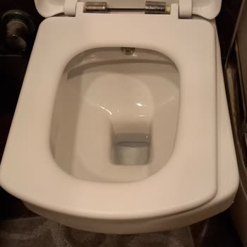 Creavit Klozet Menteşe Sorunu