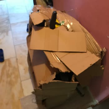 Evdemo Lojistik Firmasının Sorumsuzluğu Ve İşbilmezliği