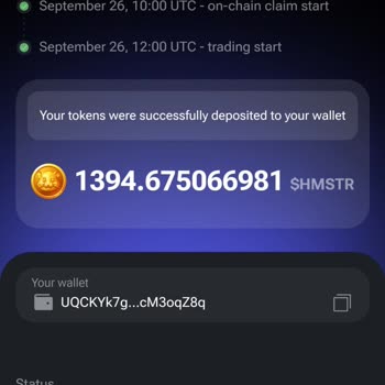 Bitget Coinler Cüzdana Gelmedi Ne Yapmam Lazım