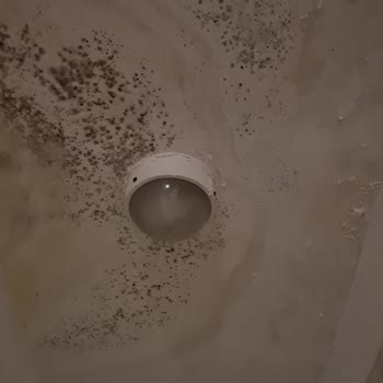 Green Paradise Beach Hotel Tam Bir Felaket