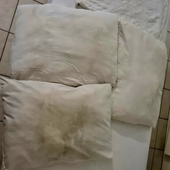 Green Paradise Beach Hotel Tam Bir Felaket