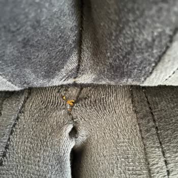 Engin Ev Mobilya Yırtık Ve Tahtaya Geçirilmiş Kumaş Sadece Sünger Kesinlikle Yok