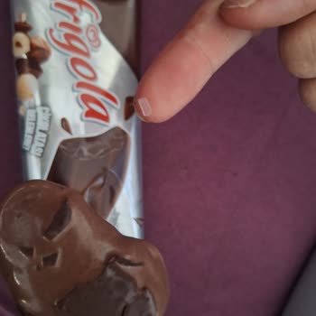 Algida Frigola Dondurma İçinden Plastik Çıktı