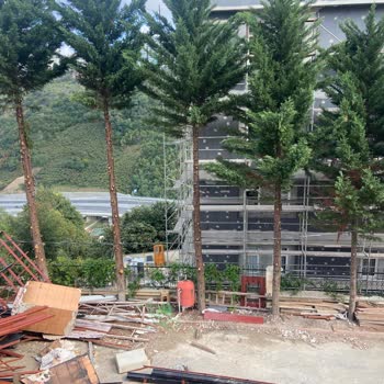 Trabzon Büyükşehir Belediyesi Trabzon Bahçecik Mahallesi Yol İşgali