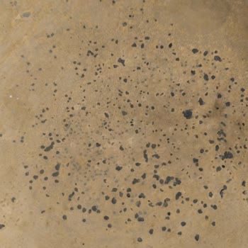 Electrolux Ürünlerinin Arkasında Durmuyor!