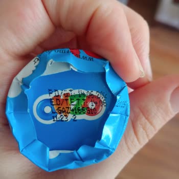 Ozmo Çikolata İçinde Böcek Çıktı