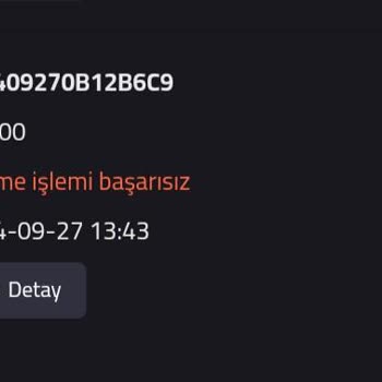 Pre Dünyam Siteye Para Yansımadı