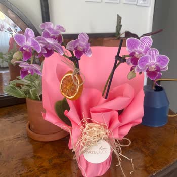 Taze Çiçek | tazecicek.com İletişim Eksikliği Ve Yanıltıcı Teslimatlar: Müşteri Memnuniyetsizliği