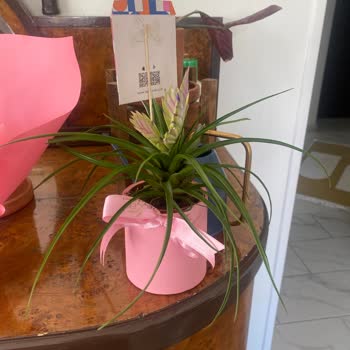 Taze Çiçek | tazecicek.com İletişim Eksikliği Ve Yanıltıcı Teslimatlar: Müşteri Memnuniyetsizliği