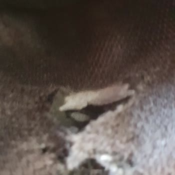 Ayakkabı Dünyası'ndan Aldığım Skechers Marka Ayakkabının Değişimi.