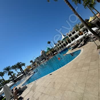 Kamelya Collection Exclusive Hotels Otel Deneyimi Ve Beklentiler Üzerine Değerlendirme