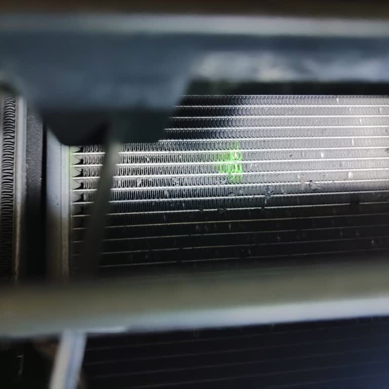 Ford İlgisiz Ve Alakasız Bayiler