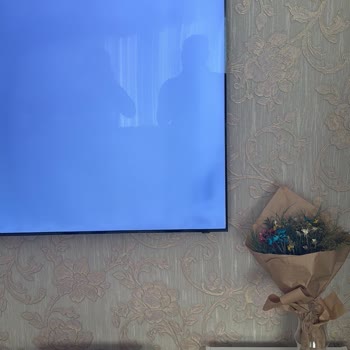 Samsung TV Panel Hatası