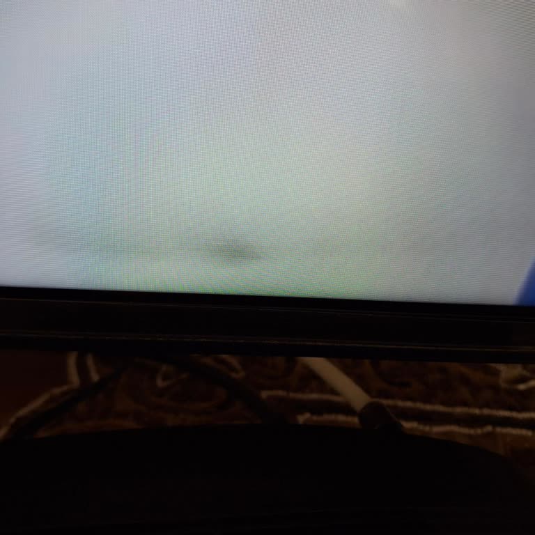 LG NANOCELL756 Toz Sorunu