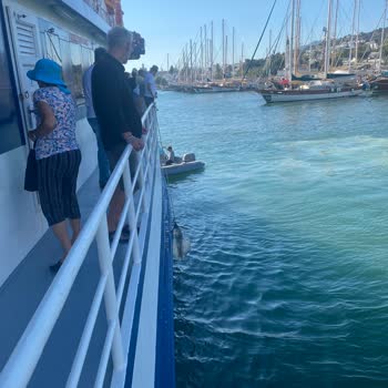 Bodrum Feribot İşletmeciliği Bodrum- Datça Feribot 2100 TL Karşılığında İşkence.