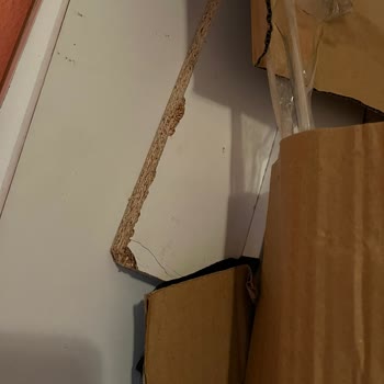 Setay Mobilya Uzatılan İade Süreci