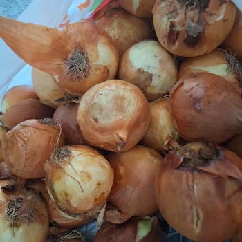 Migros Taze Olmayan Ürünler Ve İletişim Sorunu
