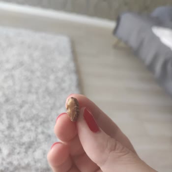 BİM Kuruyemişleri Çok Kötü Ve Yanık Bademler Yenmiyor