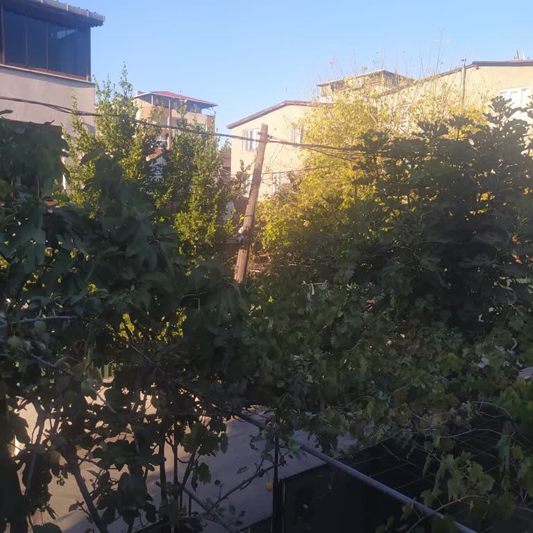 TurkNet, PTT Direğine Yetkisiz Özel Usta Çıkarmamı İstiyor!