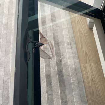 Vestel Ankastre Fırın Lastik Eriyor Sorunu