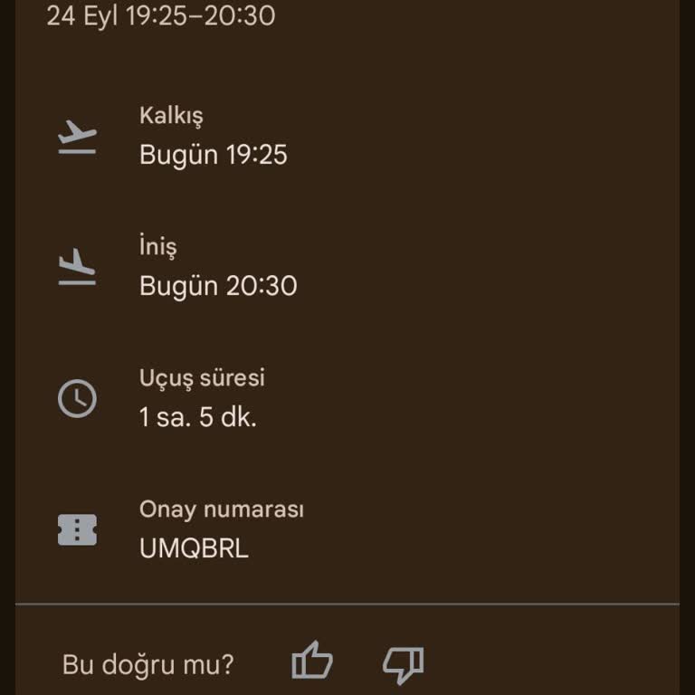 THY Uçağında Yaşanan İlgisizlik Ve Mağduriyet