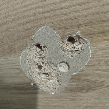 İstikbal Her Zamanki Gibi.