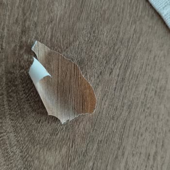 İstikbal Her Zamanki Gibi.