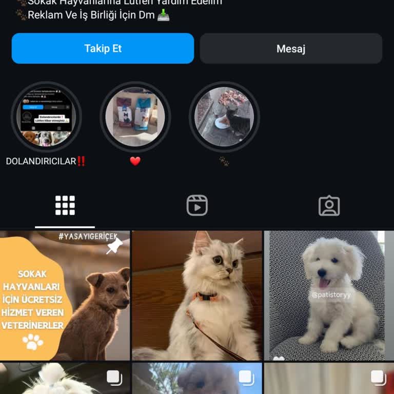 Hayvansahiplenme2021 Kedi İlanı Şikayetim