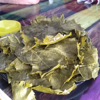 Egeden Gelen Mucize (Instagram) Egeden Gelen Mucize Instagram