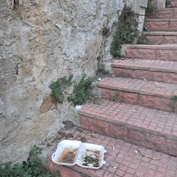 Sarıyer Belediyesi Sokak Temizlik Yapılmıyor