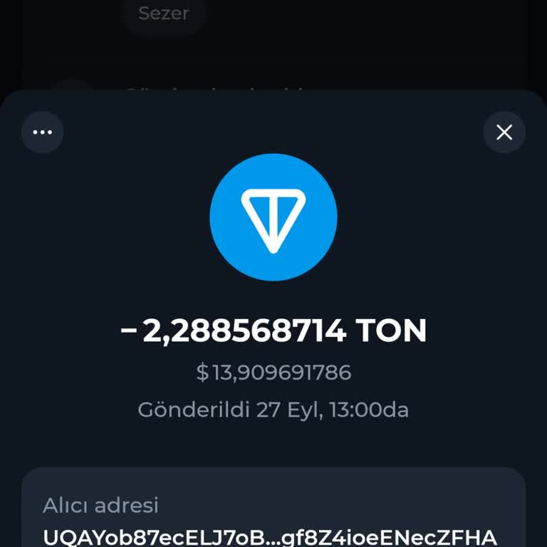Ton Keeper Dan Para Attım Bitexen'e Gelmedi