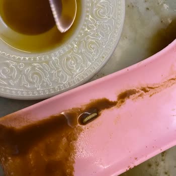 Tuğba Kuruyemiş Salihli Şubesi Türk Kahvesinden Kurt Çıktı