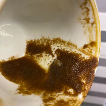 Tuğba Kuruyemiş Salihli Şubesi Türk Kahvesinden Kurt Çıktı