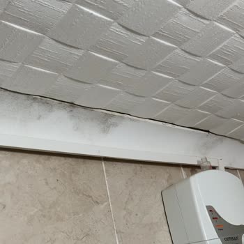 İnci-Hamitcan Aksoy Sürmene Öğretmenevi Sağlığınızı Tehlikeye Atan Kötü Konaklama Deneyimi