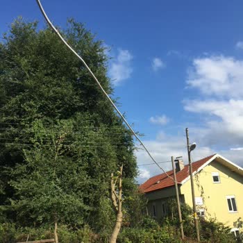 Alo 186 Bedaş Çağrı Merkezi Elektrik Direğine Evin Hattını Bağlamama