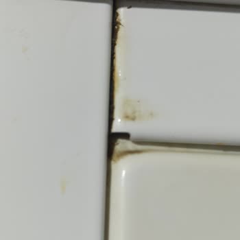 Profilo Pişmanlıktır Sorun Devam Ediyor