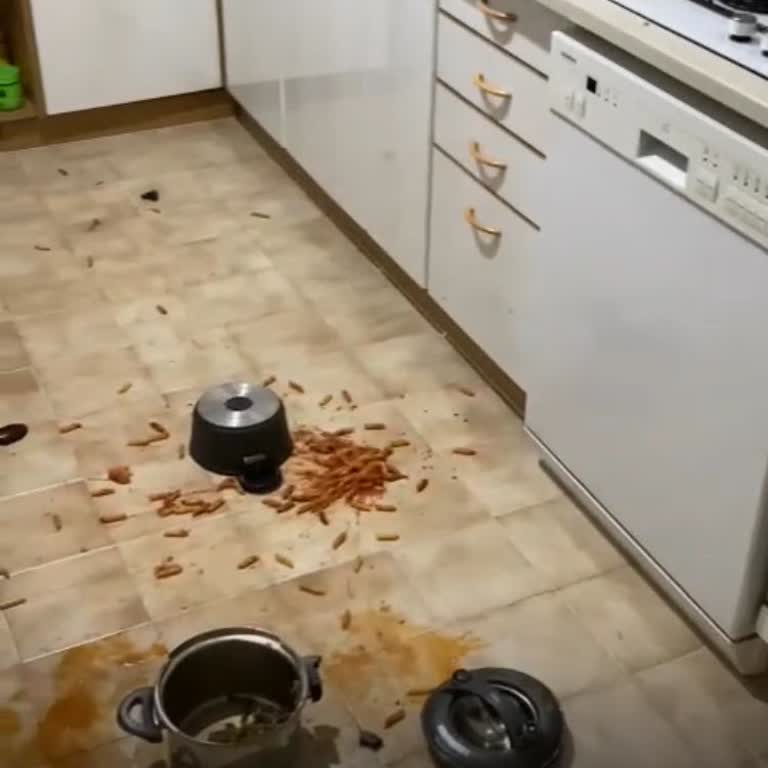 Taç Baby Düdüklü Tencere Patladı