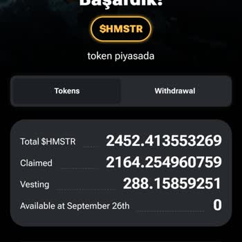 Hamster Kombat Tokenlerim Cüzdanıma Gelmedi