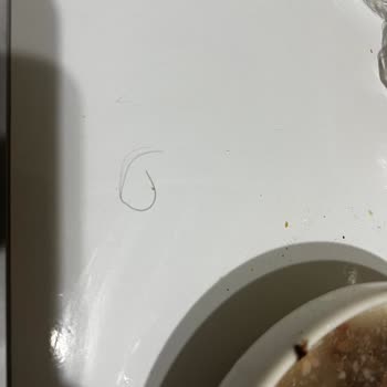 Hasan Usta Çorbasından Kocaman Kıl Çıktı