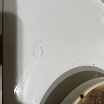 Hasan Usta Çorbasından Kocaman Kıl Çıktı